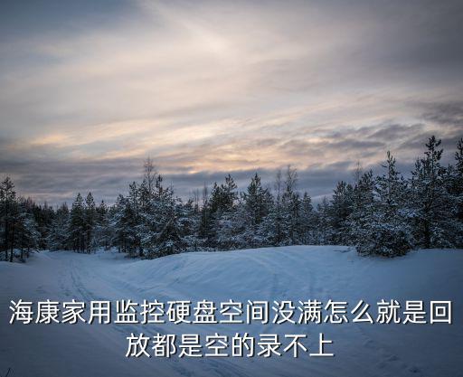 海康家用監(jiān)控硬盤空間沒滿怎么就是回放都是空的錄不上