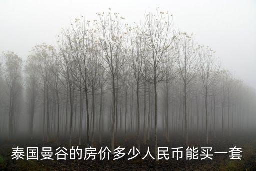 泰國曼谷的房價(jià)多少人民幣能買一套