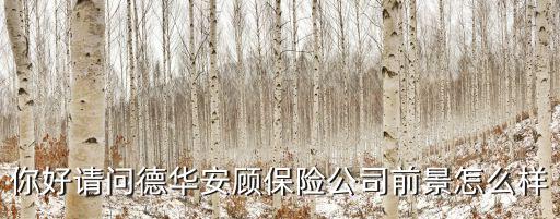 你好請問德華安顧保險公司前景怎么樣