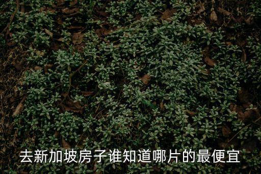 去新加坡房子誰知道哪片的最便宜