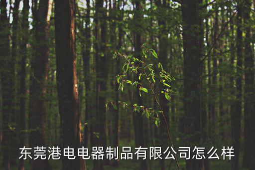 東莞港電電器制品有限公司怎么樣
