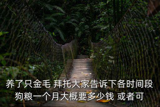 養(yǎng)了只金毛 拜托大家告訴下各時(shí)間段狗糧一個(gè)月大概要多少錢 或者可