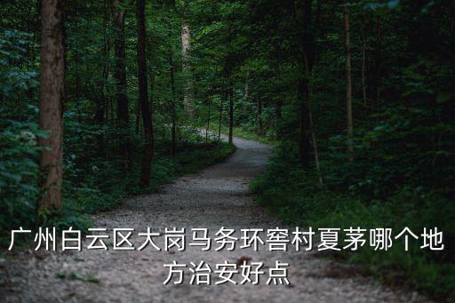 廣州白云區(qū)大崗馬務(wù)環(huán)窖村夏茅哪個地方治安好點