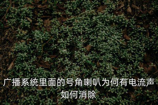 單個廣播有電流聲怎么辦，廣播系統里面的號角喇叭為何有電流聲如何消除