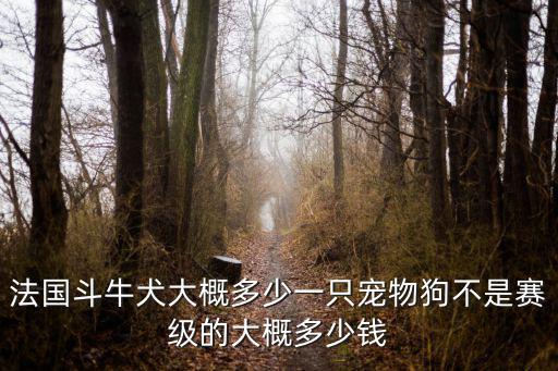 法國斗牛犬大概多少一只寵物狗不是賽級的大概多少錢