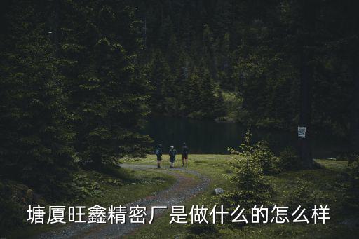 塘廈旺鑫精密廠是做什么的怎么樣