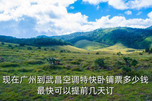 廣州到武昌T254特快，現在廣州到武昌空調特快臥鋪票多少錢最快可以提前幾天訂