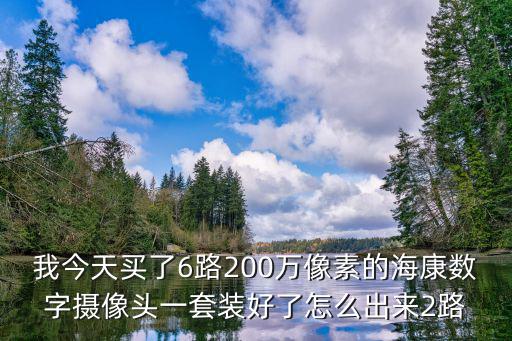 我今天買了6路200萬(wàn)像素的海康數(shù)字?jǐn)z像頭一套裝好了怎么出來(lái)2路