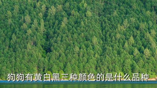 狗狗有黃白黑三種顏色的是什么品種