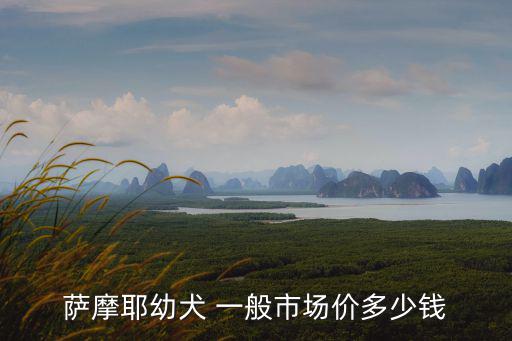 薩摩耶小狗得多少錢，一條薩摩耶狗要多少錢