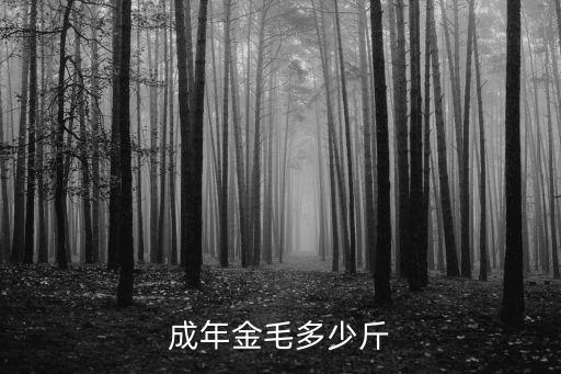 金毛公體重多少錢，金毛犬公70斤左右2年幾左右價格值多少