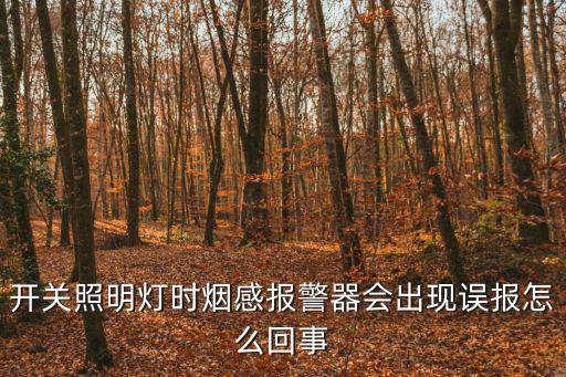 開關照明燈時煙感報警器會出現誤報怎么回事
