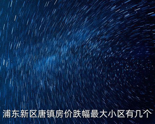 浦東新區唐鎮房價跌幅最大小區有幾個
