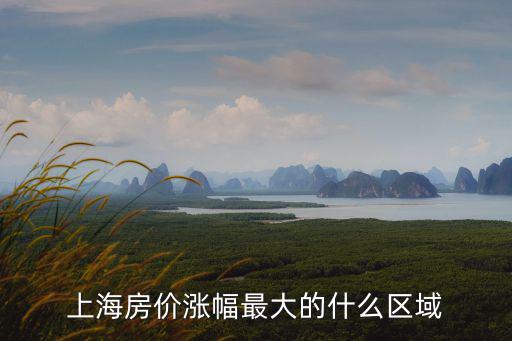 上海房價哪個區最好，上海一般來說房價最貴的地方是那個區