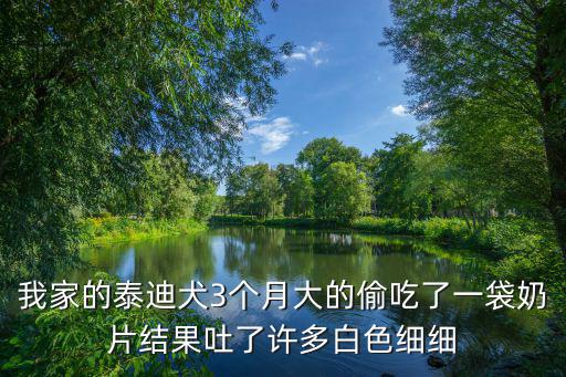 我家的泰迪犬3個月大的偷吃了一袋奶片結果吐了許多白色細細