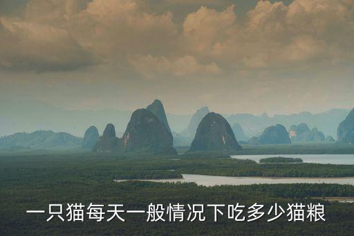 一只貓每天一般情況下吃多少貓糧
