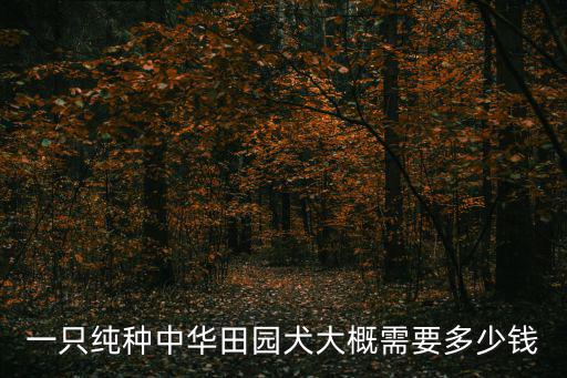 純種中華田園犬多少錢，一只中華田園犬的價(jià)格是多少