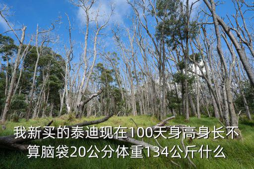 100天的泰迪吃多少，正常體泰迪一天應該喂幾頓一頓多少