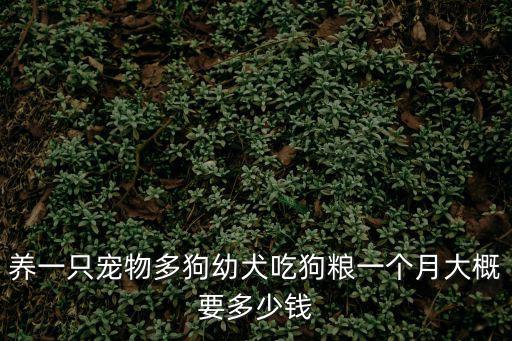 養(yǎng)一只寵物多狗幼犬吃狗糧一個(gè)月大概要多少錢