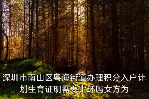 廣東省深圳市南山區粵海街道辦，深圳市南山區粵海街道辦理積分入戶計劃生育證明需要上環嗎女方為