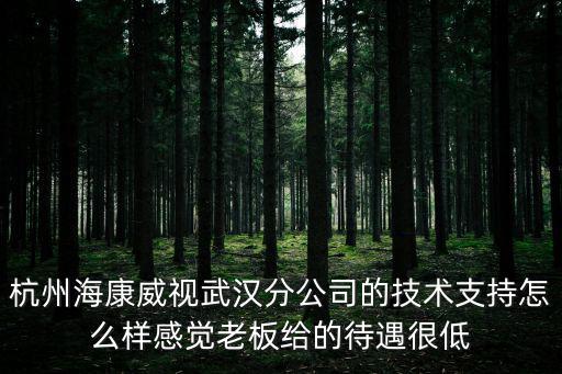 海康威視技術(shù)支持怎么樣，在海康威視做技術(shù)支持有前途嗎