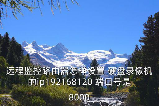 錄像機dns怎么設置，求大神們指點下這個監控錄像機怎么設置網絡呀nvr