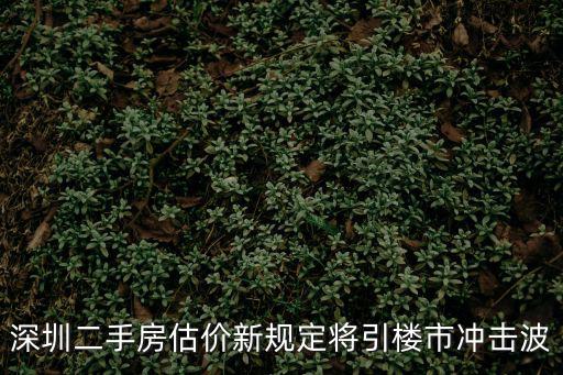 深圳2020年2月樓市，深圳樓市大熱恐引新調控