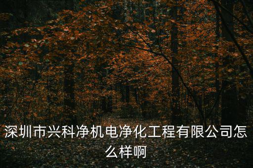 深圳市興科凈機電凈化工程有限公司怎么樣啊