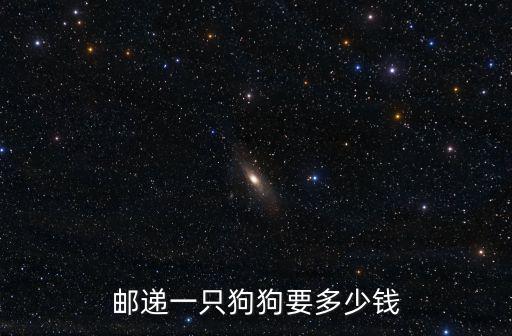 郵遞一只狗狗要多少錢