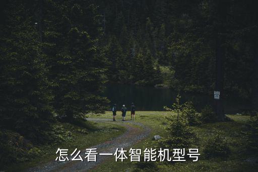 怎么看一體智能機型號