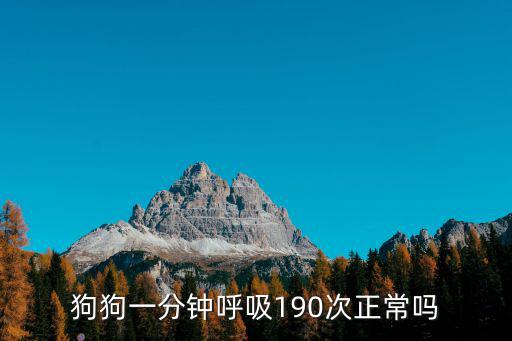 狗的呼吸一分鐘多少次，狗狗一分鐘呼吸190次正常嗎