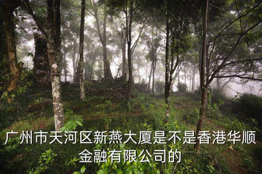 廣州打掉金融騙，廣州市天河區冼村路11號保利威座北塔16011604有廣州玖信投資管理