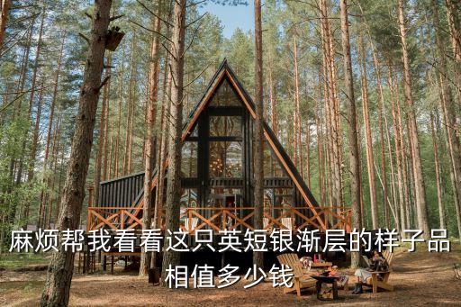 銀斑貓多少錢一只，銀狼一包多少錢
