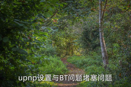 upnp設置與BT問題堵塞問題