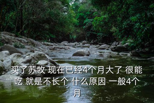 買了蘇牧 現在已經4個月大了 很能吃 就是不長個 什么原因 一般4個月