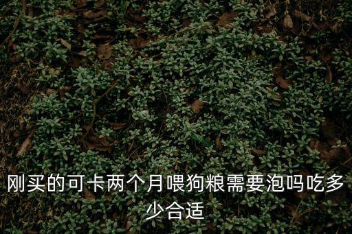 狗糧要泡多少合適，皇家狗糧泡多久合適