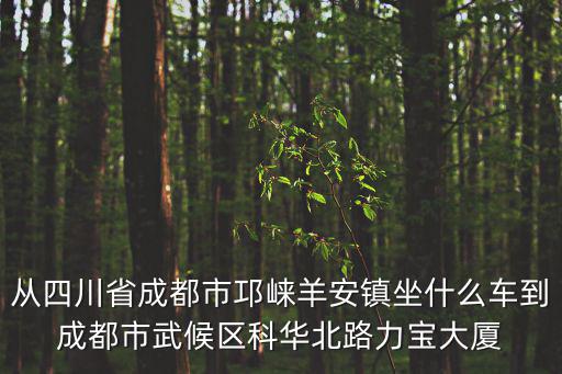 從四川省成都市邛崍羊安鎮坐什么車到成都市武候區科華北路力寶大廈