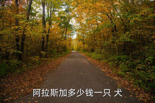 阿拉斯加多少錢一只 犬
