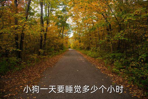 小狗一天要睡覺多少個小時