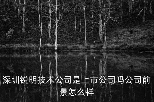 深圳銳明技術公司是上市公司嗎公司前景怎么樣