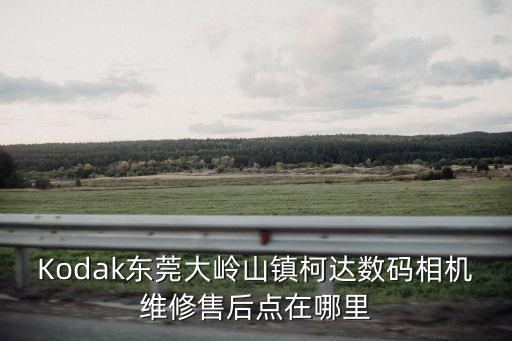 Kodak東莞大嶺山鎮柯達數碼相機維修售后點在哪里