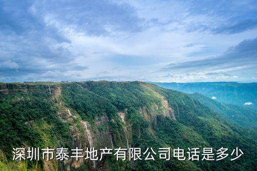深圳市泰豐地產有限公司電話是多少