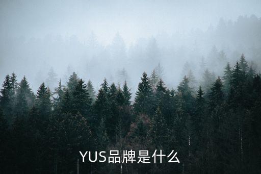 YUS品牌是什么