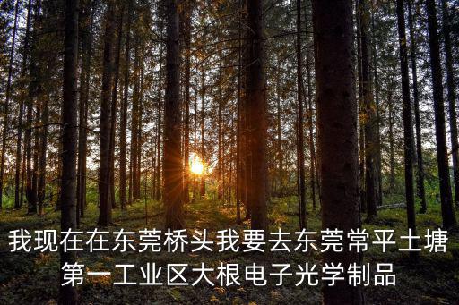 我現在在東莞橋頭我要去東莞常平土塘第一工業區大根電子光學制品