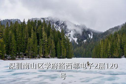深圳南山區學府路西部電子2層120號
