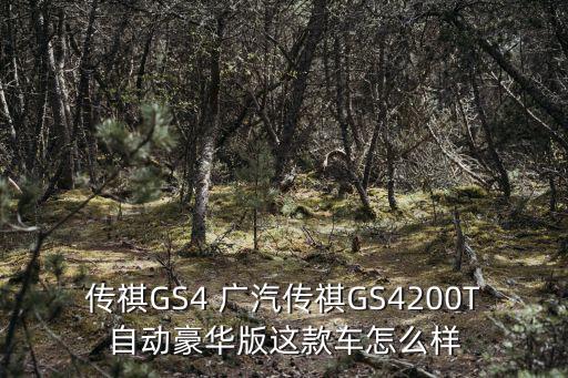 傳祺GS4 廣汽傳祺GS4200T自動(dòng)豪華版這款車怎么樣
