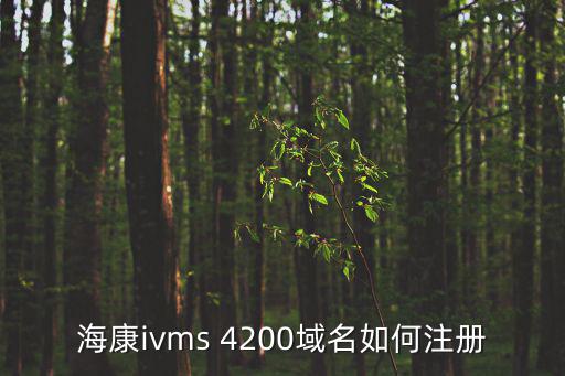海康怎么申請域名，如何輸入海康錄相機遠程域名