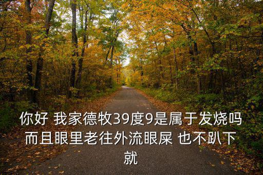 你好 我家德牧39度9是屬于發燒嗎 而且眼里老往外流眼屎 也不趴下 就