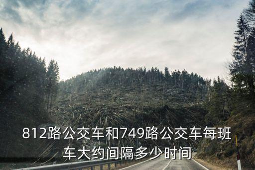 812路公交車和749路公交車每班車大約間隔多少時(shí)間