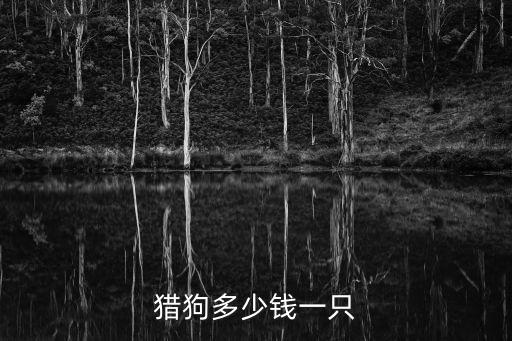 打獵狗多少錢一只，獵狗多少錢一只